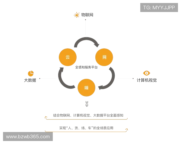 开云体育平台官网的赛事数据分析，让你深入了解每场比赛的详细情况