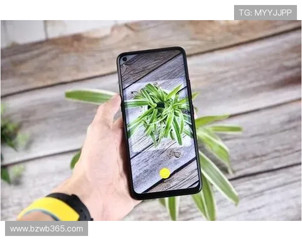 如何快速顺利进行bet365 app登录步骤指导与技巧分析